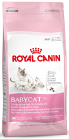 Royal Canin Для котят и беременных кошек